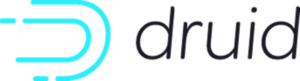 Druis project logo