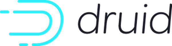 Druis project logo