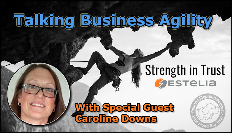 Episode 187 – Talking Business Agility with Caroline of Estelia (Part 2)