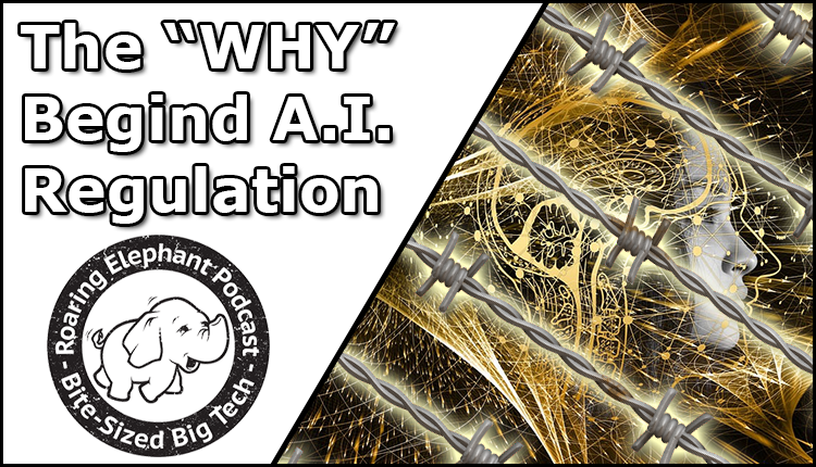 Episode 363 – The “WHY” Behind A.I. Regulation