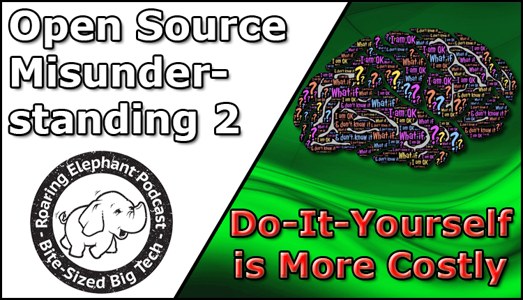 Episode 293 – Open Source Misunderstandings: Do-It-Yourself is More Costly?