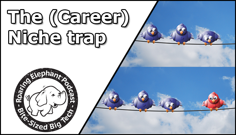 Episode 301 – The (Career) Niche Trap